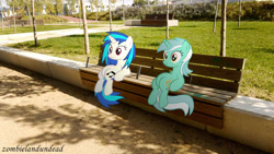 Size: 1000x562 | Tagged: safe, artist:zombielandundead, imported from derpibooru, dj pon-3, lyra heartstrings, vinyl scratch, pony, unicorn, 2014, bench, duo, female, irl, mare, photo, ponies in real life, sitting, sitting lyra