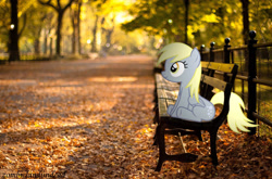 Size: 2560x1691 | Tagged: safe, artist:zombielandundead, imported from derpibooru, derpy hooves, pegasus, pony, 2014, autumn, bench, female, irl, photo, ponies in real life, sitting, solo