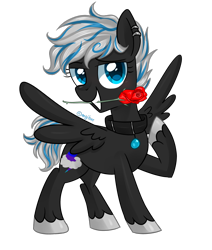 Size: 2256x2657 | Tagged: safe, artist:kaikururu, imported from derpibooru, oc, oc only, pegasus, pony, collar, ear piercing, earring, eyelashes, flower, flower in mouth, hoof polish, jewelry, mouth hold, pegasus oc, piercing, raised hoof, rose, simple background, transparent background, wings