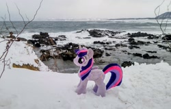 Size: 2048x1302 | Tagged: safe, imported from derpibooru, photographer:pakapaka1993, twilight sparkle, alicorn, pony, irl, japan, ocean, photo, plushie, snow, solo, twilight sparkle (alicorn), water, winter