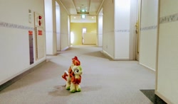 Size: 2048x1207 | Tagged: safe, imported from derpibooru, photographer:pakapaka1993, autumn blaze, kirin, pony, hallway, irl, japan, photo, plushie, solo