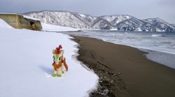 Size: 2048x1139 | Tagged: safe, imported from derpibooru, photographer:pakapaka1993, autumn blaze, kirin, pony, beach, irl, japan, photo, plushie, snow, solo, winter