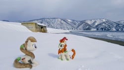 Size: 1024x576 | Tagged: safe, imported from derpibooru, photographer:pakapaka1993, autumn blaze, kirin, pony, beach, duo, irl, japan, photo, plushie, snow, winter