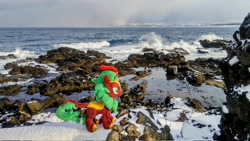 Size: 2048x1152 | Tagged: safe, imported from derpibooru, photographer:pakapaka1993, cinder glow, summer flare, kirin, pony, irl, japan, ocean, photo, plushie, snow, solo, water, winter