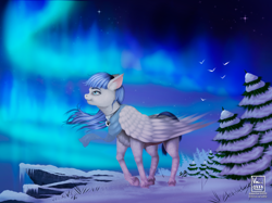 Size: 3000x2249 | Tagged: safe, artist:vinicius040598, imported from derpibooru, oc, oc:snow pup, pegasus, pony, aurora borealis, clothes, collar, detailed background, ear fluff, female, folded wings, looking up, mare, pet tag, scarf, snow, solo, standing, stars, tree, unshorn fetlocks, wind, windswept mane, wings, winter