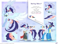 Size: 3000x2250 | Tagged: safe, artist:liquorice_sweet, imported from derpibooru, oc, pegasus, pony, reference sheet, solo