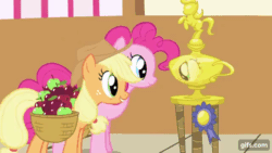 Size: 640x360 | Tagged: safe, imported from derpibooru, screencap, applejack, pinkie pie, earth pony, pony, applebuck season, season 1, animated, apple, applejack's hat, basket, cowboy hat, duo, female, food, gif, gifs.com, hat, mare, open mouth, open smile, ponyville town hall, reflection, silly, silly pony, smiling, trophy, who's a silly pony
