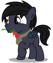Size: 2670x3200 | Tagged: safe, artist:strategypony, imported from derpibooru, oc, oc only, oc:darkdj, pegasus, pony, clothes, colt, flower, flower in mouth, foal, folded wings, full body, high res, hooves, male, mouth hold, pegasus oc, raised hoof, scarf, shadow, show accurate, simple background, smiling, solo, standing, tail, transparent background, wings