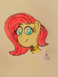 Size: 1536x2048 | Tagged: safe, artist:jesslmc16, imported from derpibooru, fluttershy, pegasus, pony, element of kindness, looking at you, smiling, solo, traditional art