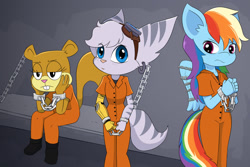 Size: 1600x1067 | Tagged: safe, artist:theblacksunking, imported from derpibooru, rainbow dash, anthro, lombax, bound wings, chained, clothes, crossover, cuffed, prison outfit, prisoner, prisoner rd, ratchet and clank, rivet (r&c), sandy cheeks, shirt, spongebob squarepants, undershirt, wings