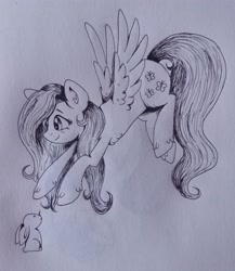 Size: 2742x3155 | Tagged: safe, artist:dreamy990, imported from derpibooru, fluttershy, pony, rabbit, animal, monochrome, solo, traditional art