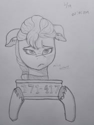 Size: 3000x4000 | Tagged: safe, artist:galaxymike, imported from derpibooru, sunny starscout, earth pony, pony, female, floppy ears, g5, hate, mare, my little pony: a new generation, news, solo, sunny starscout is not amused, traditional art, unamused