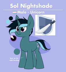 Size: 1780x1941 | Tagged: safe, artist:moonatik, imported from derpibooru, oc, oc only, oc:sol nightshade, pony, unicorn, comments locked down, cutie mark, male, pride, pride flag, reference sheet, solo, stallion, transgender, transgender pride flag