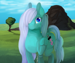 Size: 1080x900 | Tagged: safe, artist:meepars, imported from derpibooru, oc, oc only, earth pony, pony, earth pony oc, female, solo