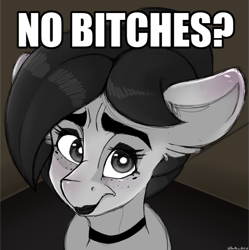 Size: 765x768 | Tagged: safe, artist:themimicartist, imported from derpibooru, oc, oc only, oc:mimic, earth pony, pony, frown, meme, no bitches?, parody, solo, vulgar