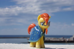 Size: 4608x3072 | Tagged: safe, artist:dingopatagonico, imported from derpibooru, sunburst, pony, irl, photo, solo, toy