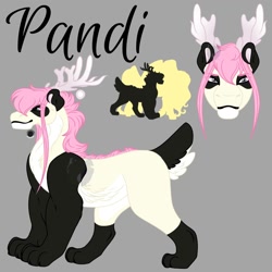 Size: 2000x2000 | Tagged: safe, artist:teonnakatztkgs, imported from derpibooru, oc, oc only, oc:pandi, draconequus, hybrid, bio in description, bust, draconequus oc, gray background, interspecies offspring, offspring, parent:discord, parent:fluttershy, parents:discoshy, simple background, solo