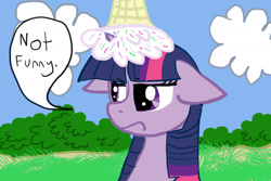 Size: 1800x1200 | Tagged: safe, artist:zoefrancesva, imported from derpibooru, twilight sparkle, pony, dialogue, female, floppy ears, food, frown, ice cream, solo, speech bubble, twilight sparkle is not amused, unamused