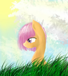 Size: 2700x3000 | Tagged: safe, artist:zoefrancesva, imported from derpibooru, scootaloo, pegasus, pony, female, filly, foal, grass, solo