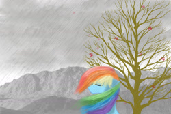 Size: 1800x1200 | Tagged: safe, artist:zoefrancesva, imported from derpibooru, rainbow dash, pony, eyes closed, female, leaves, rain, solo, tree