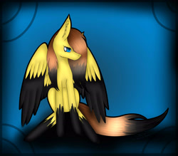 Size: 2618x2291 | Tagged: safe, artist:maneblue, imported from derpibooru, oc, oc only, pegasus, pony, abstract background, coat markings, colored wings, ear fluff, female, mare, pegasus oc, socks (coat markings), solo, two toned wings, wings