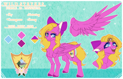 Size: 2908x1856 | Tagged: safe, artist:honeybbear, imported from derpibooru, oc, oc:wild strykes, pegasus, pony, bow, female, hair bow, mare, reference sheet, solo