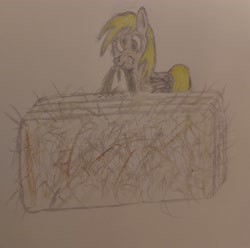 Size: 2393x2377 | Tagged: safe, artist:captain conundrum, derpy hooves, aweeg*, drawthread, eating, hay, hay bale, solo, traditional art