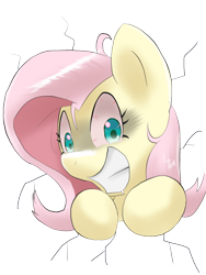 Size: 1200x1600 | Tagged: safe, artist:kushina13, imported from derpibooru, fluttershy, pegasus, pony, bloodshot eyes, bust, crazy grin, female, grin, looking at you, mare, simple background, smiling, smiling at you, solo, through wall, transparent background