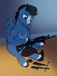 Size: 3000x4000 | Tagged: safe, artist:toanderic, imported from derpibooru, oc, oc only, oc:enduro elite, pegasus, pony, ak-12, blaze (coat marking), cleaning, coat markings, facial markings, folded wings, gun, markings, pegasus oc, rifle, solo, unshorn fetlocks, weapon, wings