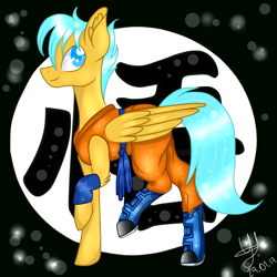 Size: 3000x3000 | Tagged: safe, alternate version, artist:yulianapie26, imported from derpibooru, pegasus, pony, clothes, dragon ball, dragon ball z, ear fluff, high res, male, ponified, signature, smiling, son goku, stallion, wings