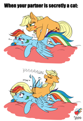 Size: 2680x3900 | Tagged: safe, artist:julunis14, imported from derpibooru, applejack, rainbow dash, earth pony, pegasus, pony, 2 panel comic, applebutt, appledash, behaving like a cat, blushing, both cutie marks, butt, comic, cute, eyes closed, female, floppy ears, high res, lesbian, lying down, meep, onomatopoeia, open mouth, plot, pomf, purring, shipping, tongue out, yawn