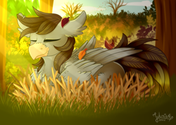 Size: 4093x2894 | Tagged: safe, artist:julunis14, imported from derpibooru, oc, oc only, oc:luxor, classical hippogriff, hippogriff, autumn, behaving like a bird, bird nest, eyes closed, leaf, nest, relaxing