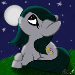 Size: 1000x1000 | Tagged: safe, artist:noir-b, imported from derpibooru, oc, oc:tessa, earth pony, pony, commission, female, looking up, lying down, mare, moon, night, prone, smiling, solo, ych result