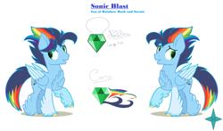 Size: 4512x2648 | Tagged: safe, artist:mielthedarkfox, imported from derpibooru, oc, oc only, oc:sonic blast, pegasus, pony, chest fluff, duo, female, male, mare, offspring, parent:rainbow dash, parent:soarin', parents:soarindash, raised hoof, simple background, stallion, white background