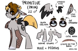 Size: 1211x791 | Tagged: safe, artist:lrusu, imported from derpibooru, oc, oc only, oc:primitive, oc:sunny (lrusu), hybrid, mule, pegasus, pony, eyebrow slit, eyebrows, eyeshadow, floppy ears, makeup, mismatched wings, reference sheet, simple background, solo, white background, wings