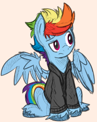 Size: 700x880 | Tagged: safe, artist:nolycs, color edit, edit, imported from derpibooru, rainbow dash, pegasus, pony, clothes, colored, colored sketch, frown, full body, hoodie, male, pink background, rainbow blitz, raised eyebrow, rule 63, simple background, sitting, sketch, solo, stallion, unshorn fetlocks, wing fluff, wings