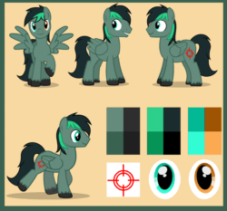 Size: 2376x2211 | Tagged: safe, artist:edelweiss, imported from derpibooru, oc, oc only, oc:target strike, pegasus, pony, animated, cutie mark, heterochromia, pegasus oc, reference sheet, simple background, solo, spread wings, two toned mane, unshorn fetlocks, walking, wings
