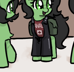 Size: 258x253 | Tagged: safe, artist:plunger, oc, oc:filly anon, pony, canada, canadian flag, chest fluff, clothes, female, filly, implied anal, implied sex, mare, open mouth, shirt, smiling
