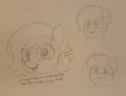 Size: 2421x1836 | Tagged: safe, artist:smoldix, oc, oc:filly anon, earth pony, pony, drawpile, female, filly, mare, open mouth, simple background, smiling, traditional art