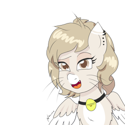 Size: 2000x2000 | Tagged: safe, artist:wrath-marionphauna, imported from derpibooru, oc, oc only, oc:cat-puchina, cat, hybrid, pegasus, bell, bell collar, collar, ear piercing, jewelry, necklace, piercing, simple background, solo, transparent background