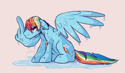 Size: 1280x750 | Tagged: safe, artist:nolycs, imported from derpibooru, rainbow dash, pegasus, pony, male, middle feather, middle finger, rainbow blitz, rule 63, simple background, solo, stallion, vulgar, wet, wet mane, wing hands, wings