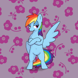 Size: 800x800 | Tagged: safe, artist:kushina13, imported from derpibooru, rainbow dash, pegasus, pony, semi-anthro, bipedal, crossed hooves, female, flower, mare, solo