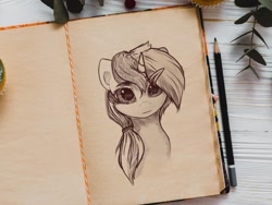 Size: 1600x1200 | Tagged: safe, artist:luneinspace, imported from derpibooru, minuette, pony, unicorn, barrette, big eyes, bust, notebook, portrait, realistic, semi-realistic, solo, traditional art