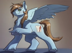 Size: 2237x1652 | Tagged: safe, artist:kam, imported from derpibooru, oc, oc only, oc:sorren, pegasus, pony, chest fluff, hooves, jewelry, male, necklace, pegasus oc, raised hoof, shading, smiling, solo, spread wings, stallion, standing, tail, unshorn fetlocks, wings