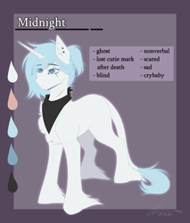 Size: 2900x3400 | Tagged: safe, artist:lunciakkk, imported from derpibooru, oc, oc:midnight, unicorn, clothes, female, reference sheet, scarf, solo, unshorn fetlocks