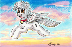 Size: 2684x1751 | Tagged: safe, artist:dandy, imported from derpibooru, oc, oc only, oc:bolt the super pony, pegasus, pony, bolt, chest fluff, collar, copic, dog collar, ear fluff, flying, marker drawing, pegasus oc, pet tag, ponified, solo, tongue out, traditional art