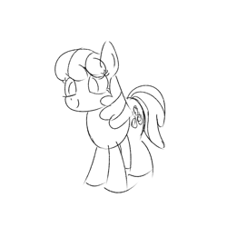 Size: 2400x2400 | Tagged: safe, artist:huodx, cheerilee, earth pony, pony, female, mare, monochrome, simple background, smiling