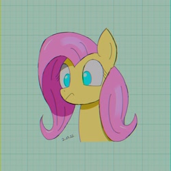 Size: 3200x3200 | Tagged: safe, artist:huodx, fluttershy, pony, chromatic aberration, female, frown, grid, mare