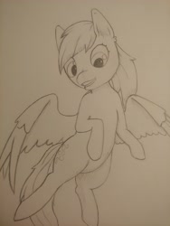 Size: 3492x4656 | Tagged: safe, artist:lawliet13, imported from derpibooru, derpy hooves, ditzy doo, pegasus, pony, female, flying, mare, sketch, sketch dump, smiling, solo, spread wings, traditional art, wings