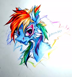 Size: 2420x2584 | Tagged: safe, artist:creature.exist, imported from derpibooru, rainbow dash, pegasus, pony, bust, ear fluff, fluffy, heart eyes, high res, looking at you, multicolored mane, photo, portrait, simple background, solo, white background, white fur, wingding eyes